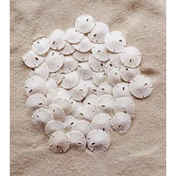 Tumbler Home Sand Dollars 50pcs - Under 1" Inch - Tiny Natural Sand Dollar - Small White Sea Shell for Crafts - Wedding Shells - Bulk