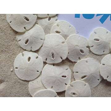 Tumbler Home Sand Dollars 50pcs - Under 1" Inch - Tiny Natural Sand Dollar - Small White Sea Shell for Crafts - Wedding Shells - Bulk