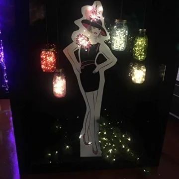 Battery Operated Mini LED Fairy Lights with Timer