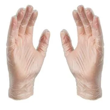GLOVEPLUS AMMEX Clear Vinyl Gloves for Food Safety