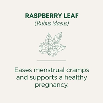 Organic Raspberry Leaf Tea for Women’s Health Benefits