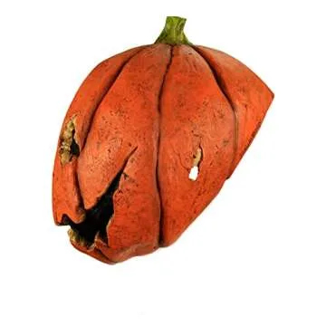 Adorable Last Night Pumpkin Mask for All Occasions