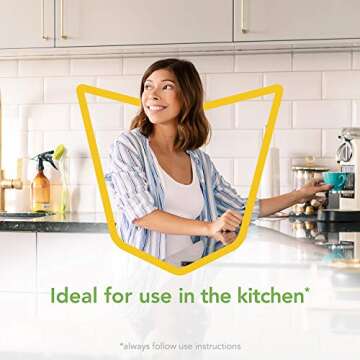 Raid Essentials Flying Insect Killer Spray for Home Safety