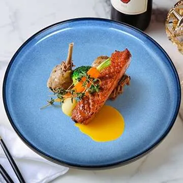 MEKY Dinner Plates, Ceramic 10 inch Round Dish Plates Set of 4, Easy to Clean, Microwave Oven Dishwasher Safe, Scratch Resistant, Kitchen Porcelain Serving Dishes - Premium Reactive Glaze 4