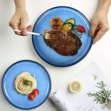 MEKY Dinner Plates, Ceramic 10 inch Round Dish Plates Set of 4, Easy to Clean, Microwave Oven Dishwasher Safe, Scratch Resistant, Kitchen Porcelain Serving Dishes - Premium Reactive Glaze 4