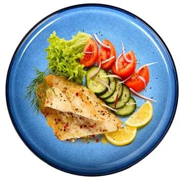 MEKY Dinner Plates, Ceramic 10 inch Round Dish Plates Set of 4, Easy to Clean, Microwave Oven Dishwasher Safe, Scratch Resistant, Kitchen Porcelain Serving Dishes - Premium Reactive Glaze 4