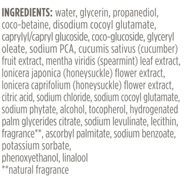 Burt's Bees Refreshing Foaming Face Cleanser 4.8oz