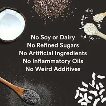 gr8nola BLACK COCO (CHARCOAL) CHIA - Healthy, Low Sugar, Vegan Granola Cereal - Made with Superfoods Chia Seeds and Activated Charcoal, Soy Free, Dairy Free and No Refined Sugar - 10oz Resealable Bag