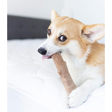 Durable Petstages Super Dogwood Chew Toy - Medium