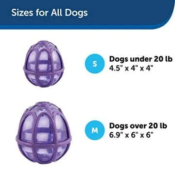 PetSafe Busy Buddy Kibble Nibble - Dog Toy - Treat and Food Dispenser - Slow Feeder - Medium/Large