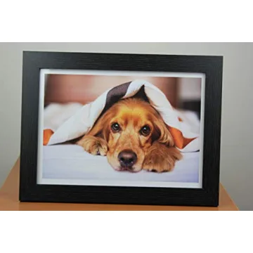 PPD 50 Sheets High Gloss Photo Paper 240gsm Instant Dry