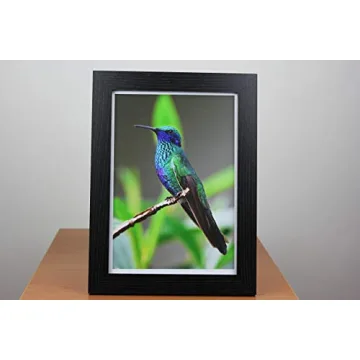 PPD 50 Sheets High Gloss Photo Paper 240gsm Instant Dry