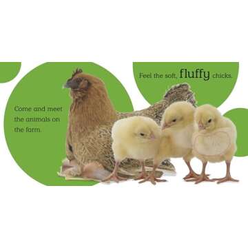 Touch and Feel: Farm