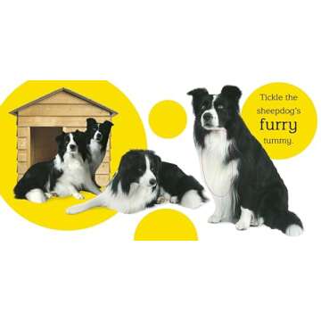 Touch and Feel: Farm