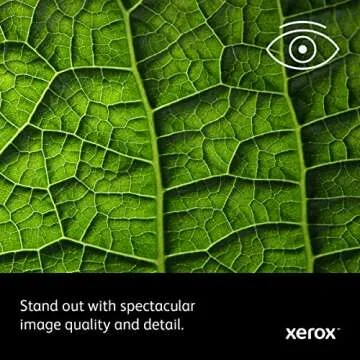 Xerox Phaser 6510 DNI Color Printer Fast and Reliable