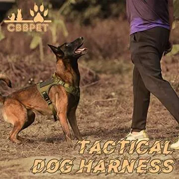 CBBPET Tactical Dog Harness for Comfortable Pet Training