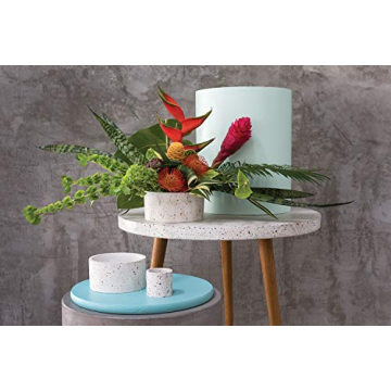 Terrazzo Ceramic Indoor Planter for Small Plants