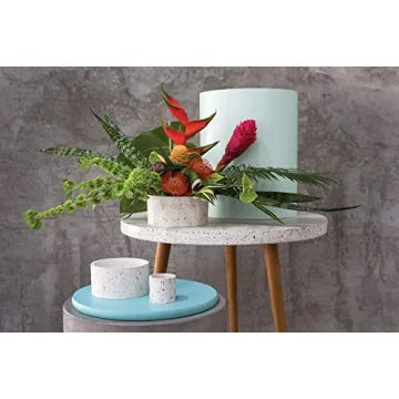 Terrazzo Ceramic Indoor Planter for Small Plants