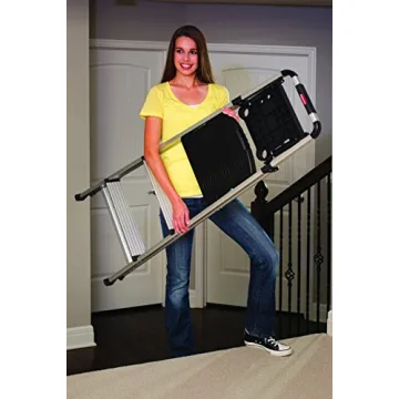 Lightweight Aluminum 3-Step Ladder with Project Tray