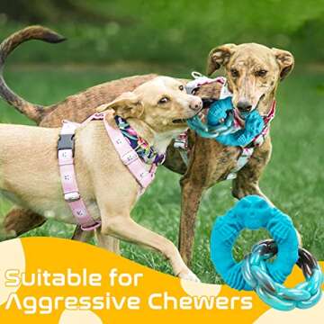 Rmolitty Dog Toys for Aggressive Chewers Large Medium Breed Dogs, Indestructible Interactive Tough Non-Toxic Natural Rubber & Nylon Tough Teething Double-Ring Chew Toys