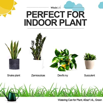 WhaleLife Stylish Indoor Watering Can for Plants