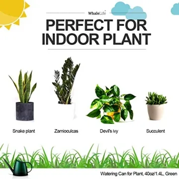 WhaleLife Stylish Indoor Watering Can for Plants