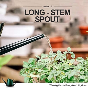 WhaleLife Stylish Indoor Watering Can for Plants