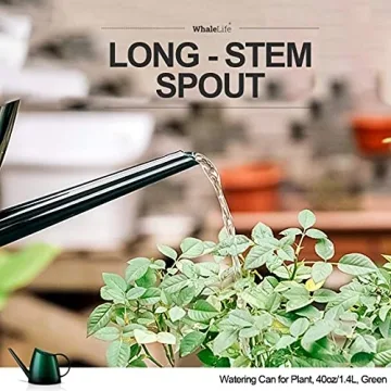 WhaleLife Stylish Indoor Watering Can for Plants