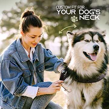 Ram-Pro Dog Training Pinch Collar Large Triple Crown Gentle Effective/No Barking Control for All Bre...