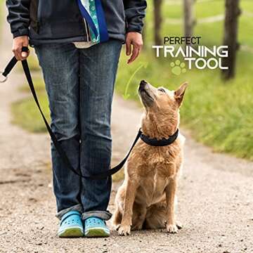 Ram-Pro Dog Training Pinch Collar Large Triple Crown Gentle Effective/No Barking Control for All Breeds