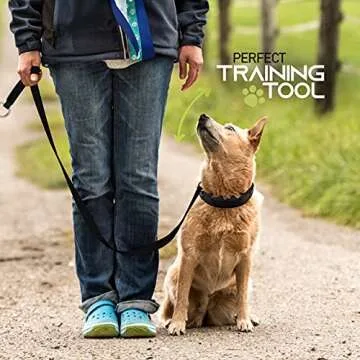 Ram-Pro Dog Training Pinch Collar Large Triple Crown Gentle Effective/No Barking Control for All Breeds