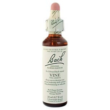 Vine for Motivation Natural Homeopathic Flower Essence to Boost Inspiration