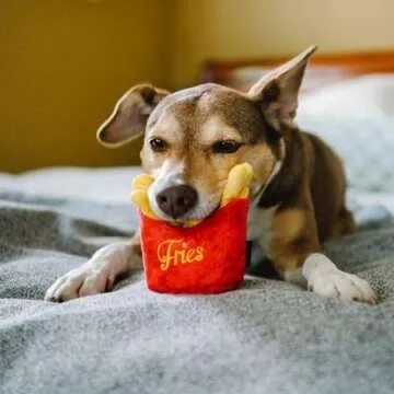 P.L.A.Y. Cute Plush Dog Toy - Fast Food Themed Squeaky Toy