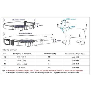 Blueberry Pet Spring Scent Inspired Rose Print Martingale Safety Training Dog Collar, Turquoise, Large, Heavy Duty Adjustable Collars for Dogs