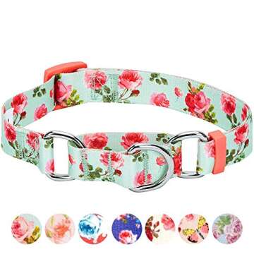 Blueberry Pet Spring Scent Inspired Rose Print Martingale Safety Training Dog Collar, Turquoise, Large, Heavy Duty Adjustable Collars for Dogs