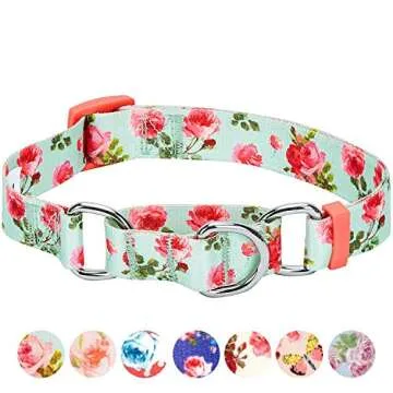 Blueberry Pet Spring Scent Inspired Rose Print Martingale Safety Training Dog Collar, Turquoise, Large, Heavy Duty Adjustable Collars for Dogs