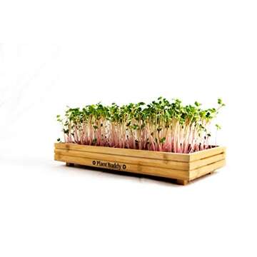Indoor and Outdoor Microgreens Growing Kit - Bamboo Sprouting Seed Tray with Coco Coir, Spray Bottle, Radish Seeds, Liner - Countertop Planter, Microgreen Seeds Starter by Plant Buddy, 15x7 in.