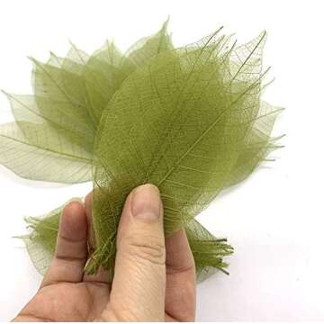 RATREE 888 100 Pcs 4-5 Inch Olive Green Skeleton Leaves Rubber Tree Natural Scrapbook Craft Card DIY Craft Using for Crafts, Bouquets, Scrapbooks, Decorations, Greeting Cards, Wedding Gifts