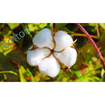 Softta White Bedding Set Twin XL Duvet Cover Pom Pom Ruffle Girls Duvet Covers Baby Teen 3 Pcs Vintage Farmhouse Boho Quilt Cover Bohemian 100% Washed Cotton Solid Color