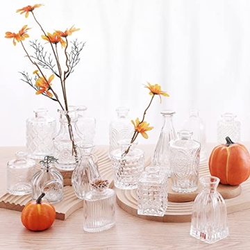 Arme Glass Bud Vase Set of 32 Pcs for Elegant Décor