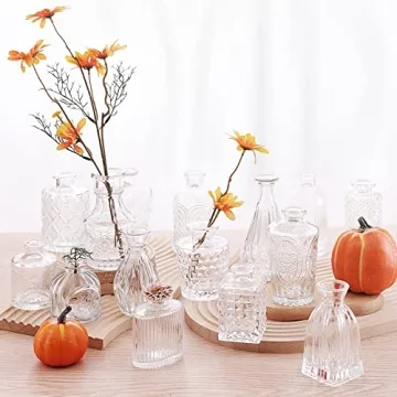 Arme Glass Bud Vase Set of 32 Pcs for Elegant Décor