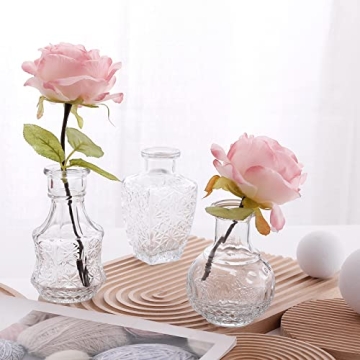 Arme Glass Bud Vase Set of 32 Pcs for Elegant Décor