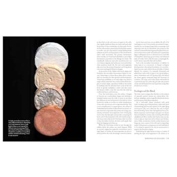 Milk Into Cheese Guide for Homemade Cheesemaking