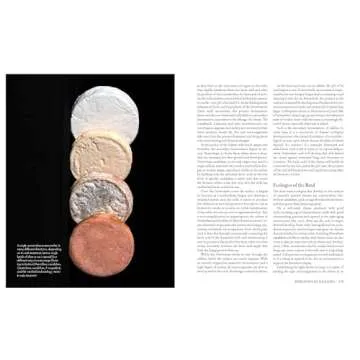 Milk Into Cheese Guide for Homemade Cheesemaking