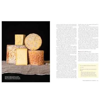 Milk Into Cheese Guide for Homemade Cheesemaking