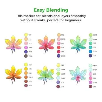 Ohuhu Brush Markers Set - Dual-Tip for Artists & Beginners