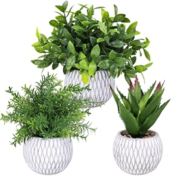 Winlyn 3 Pcs Small Potted Plants Artificial Eucalyptus Rosemary Plants and Aloe Succulent Plant in G...