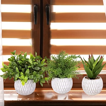 Winlyn Small Potted Plants Perfect for Indoor Decor Gifts