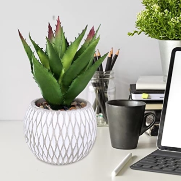 Winlyn Small Potted Plants Perfect for Indoor Decor Gifts