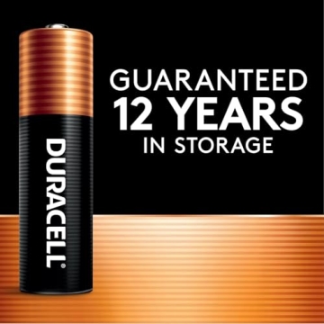 Duracell Coppertop AAA Batteries with Power Boost - 20 Count Pack